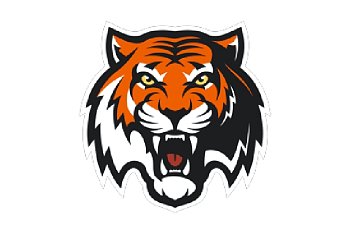 Флаг хоккейного клуба Амур Хабаровск Флаг хоккейного клуба Амур Хабаровск