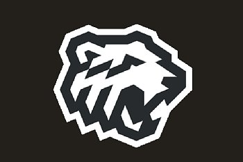 Флаг хоккейного клуба Белые Медведи Челябинск Флаг хоккейного клуба Белые Медведи Челябинск