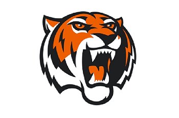 Флаг хоккейного клуба Амурские Тигры Хабаровск Флаг хоккейного клуба Амурские Тигры Хабаровск