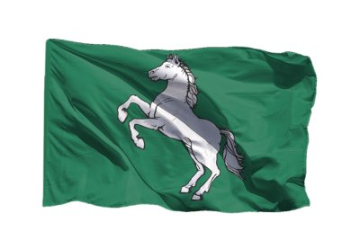 Флаг Томска 90х135 см Флаг Томска 90х135 см