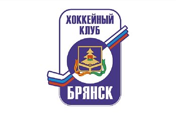 Флаг хоккейного клуба Брянск Флаг хоккейного клуба Брянск